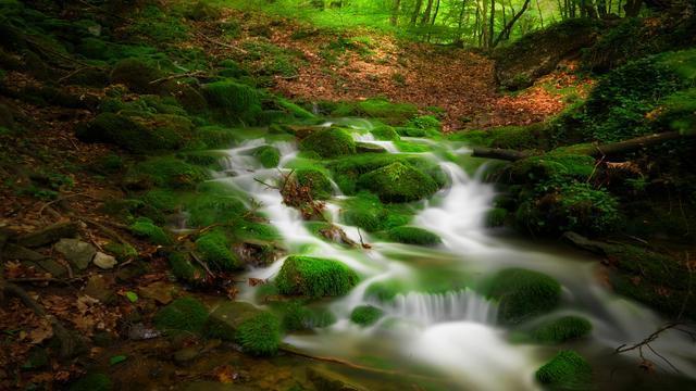 逃出奶油苹果屋